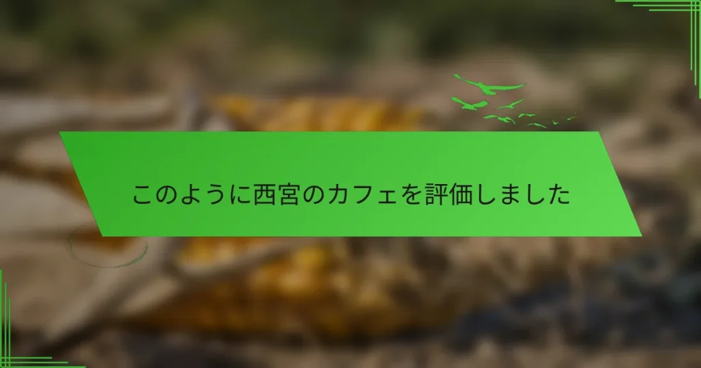 このように西宮のカフェを評価しました